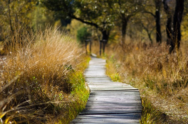 5 games to make walking with children more fun 3 wooden track, path, trail