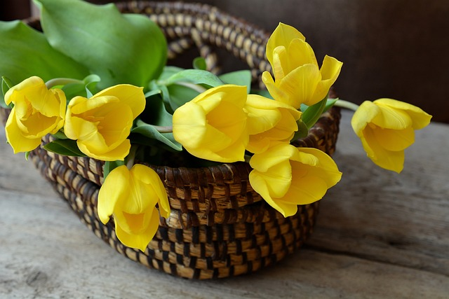 Scavenger Hunt for Spring Flowers 3 tulips, cut flowers, flower basket
