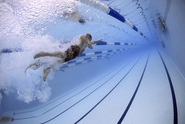 The Ultimate List of Olympic Sports 3 swimmers, swimming, pool