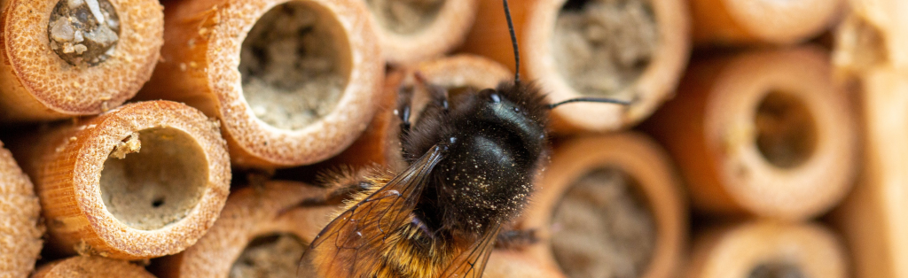 10 Ways Your Kids Can Grow a Green Thumb in Summer 5 create your very own insect hotel