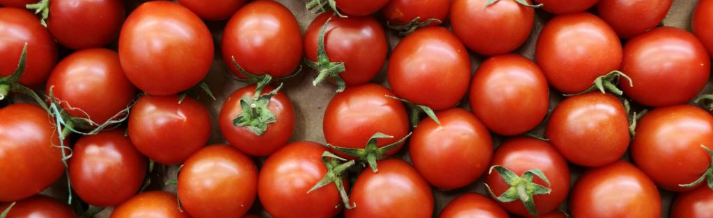 10 Ways Your Kids Can Grow a Green Thumb in Summer 1 harvested cherry tomatoes