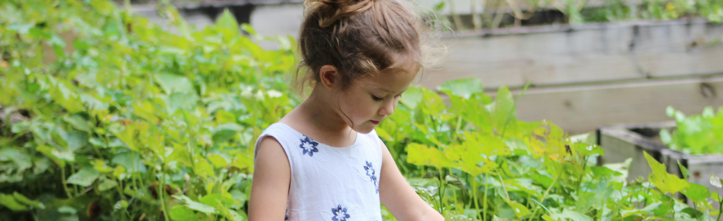 10 Ways Your Kids Can Grow a Green Thumb in Summer 4 gardening with your children