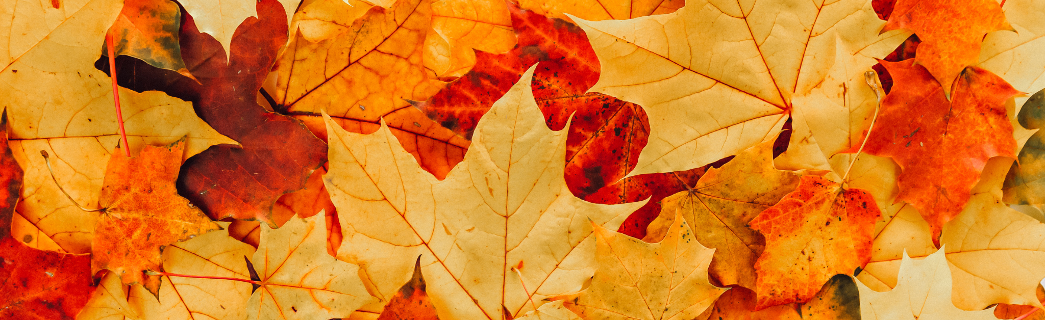 Autumn wreath ideas 2 Autumn activities for kids