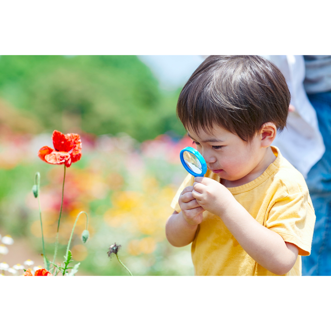 child participating in a nature hunt