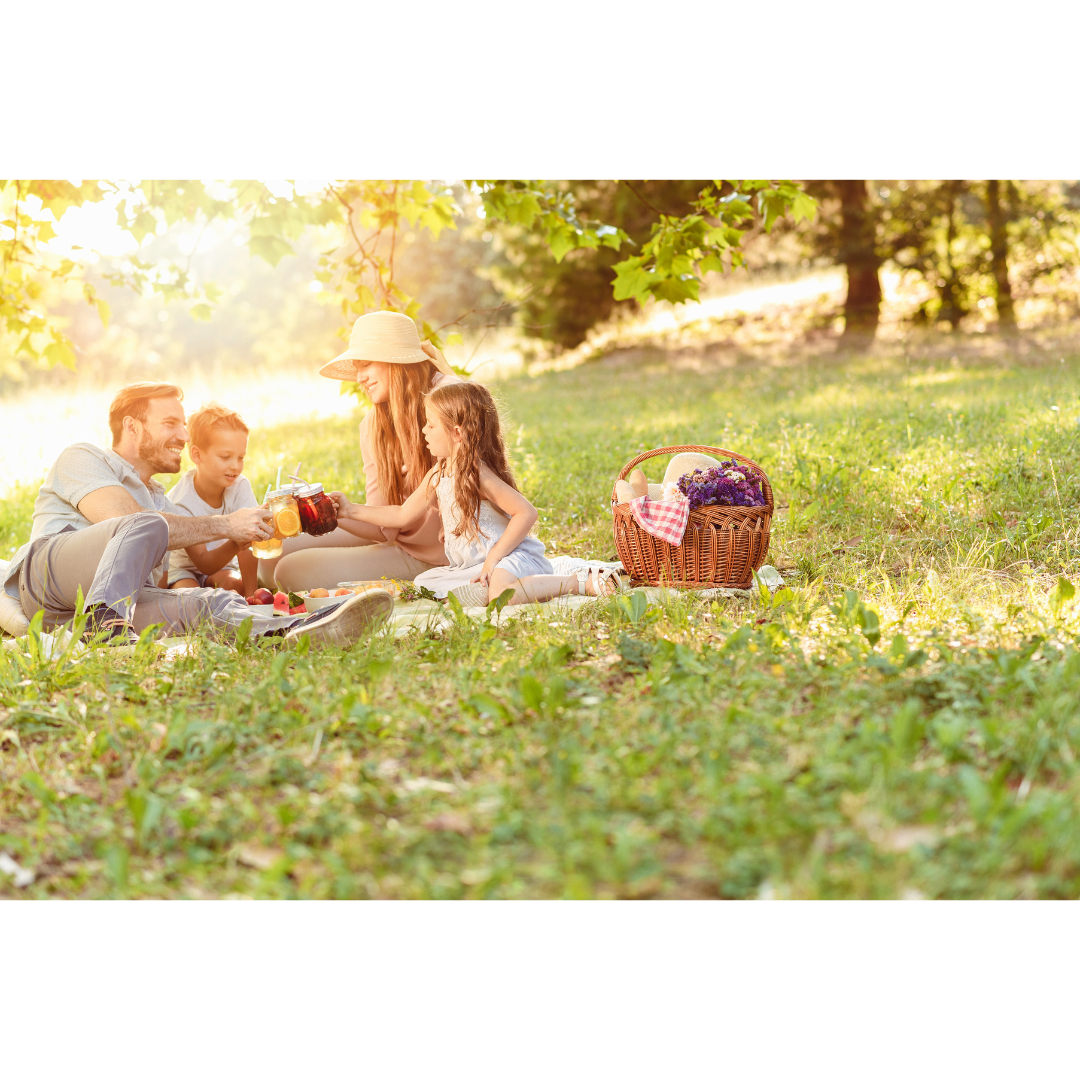 a family enjoying a picnic
